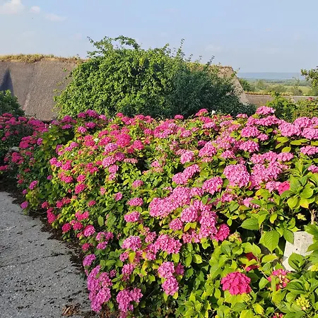 La Maraiquaise * Marais-Vernier