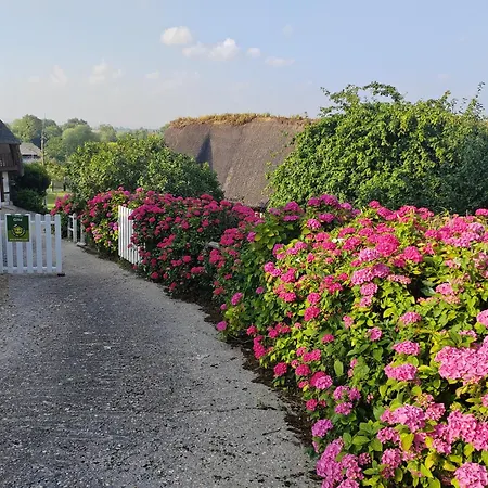 Vakantiehuis La Maraiquaise
