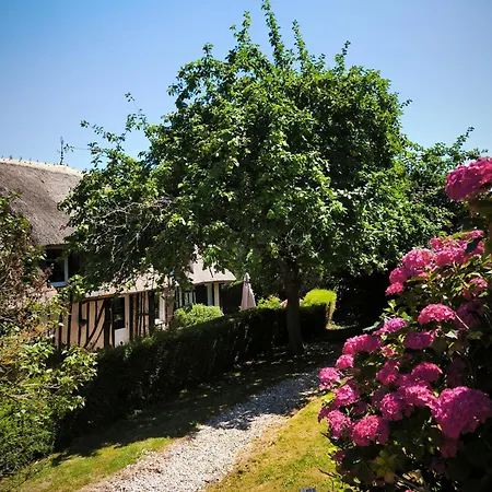 La Maraiquaise