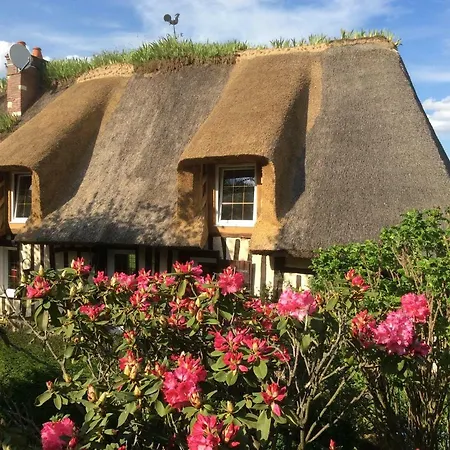 La Maraiquaise