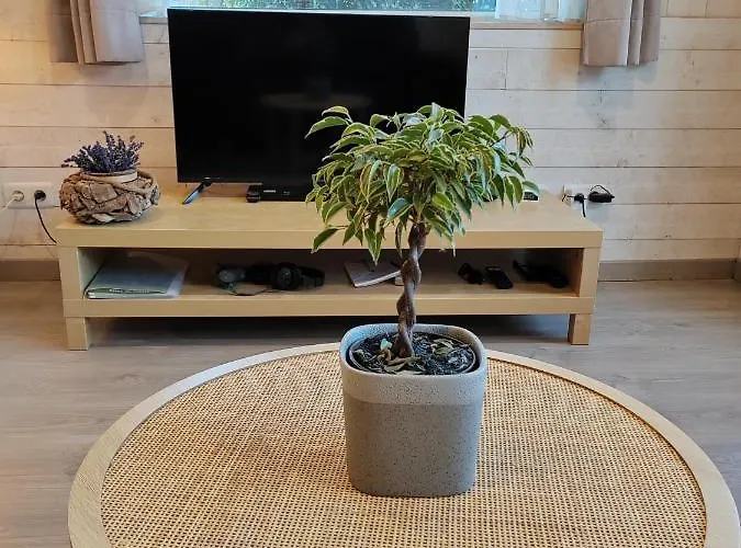 Holiday home La Maraiquaise